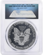 s-1-oz-american-silver-eagle-ms70-anacs-back-img